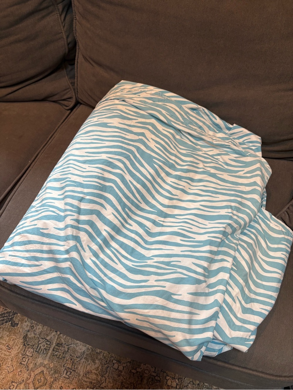 Pottery Barn Teen Y2K Blue Zebra Print Cotton Duvet Cover Full / Queen